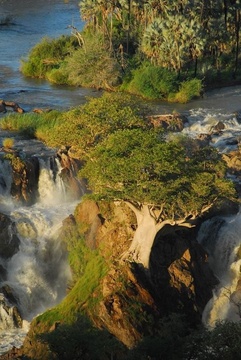 Kapika Waterfall Lodge, Epupa/Namibia - Epupa Falls